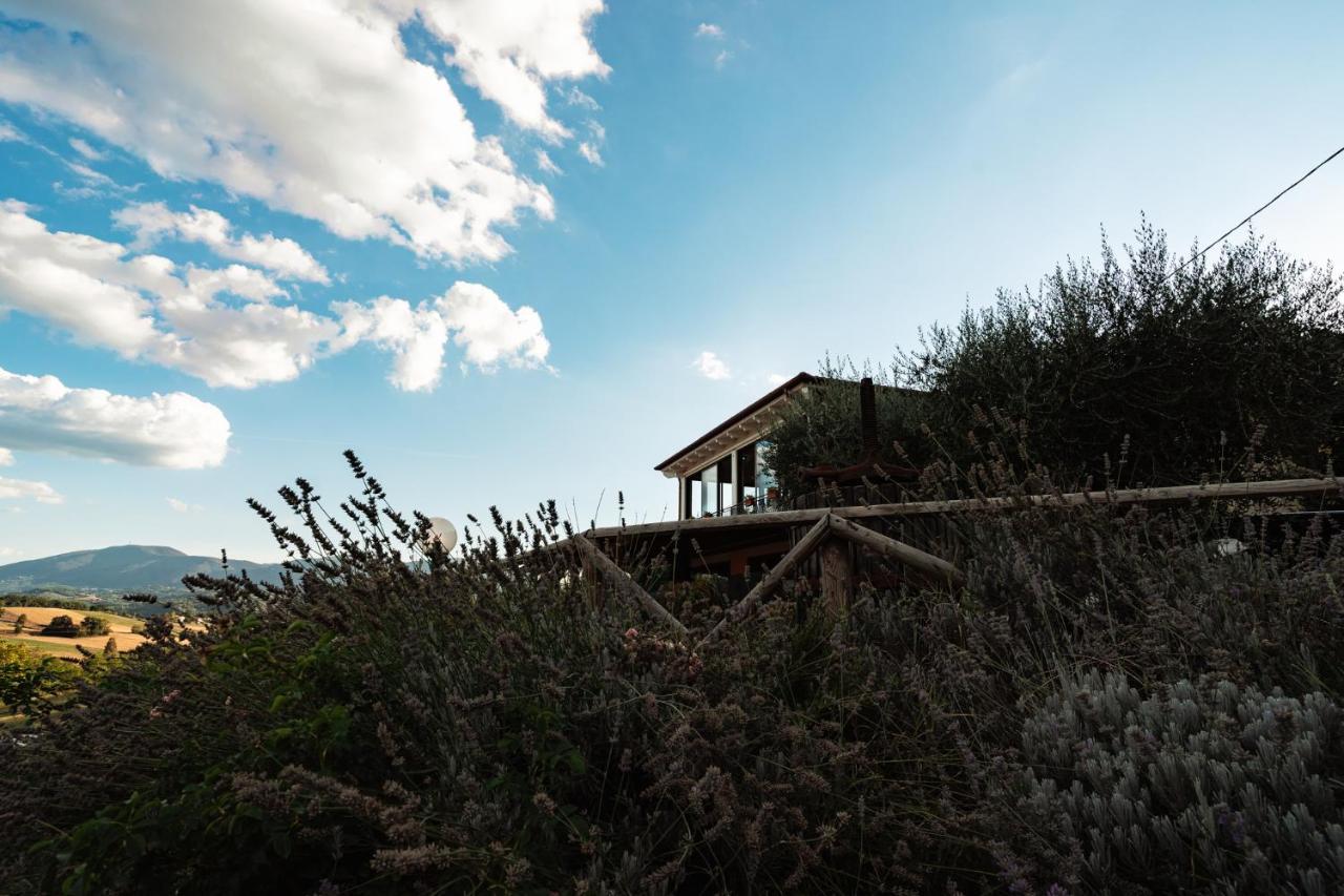 Il Pozzo Country House Collescipoli Luaran gambar