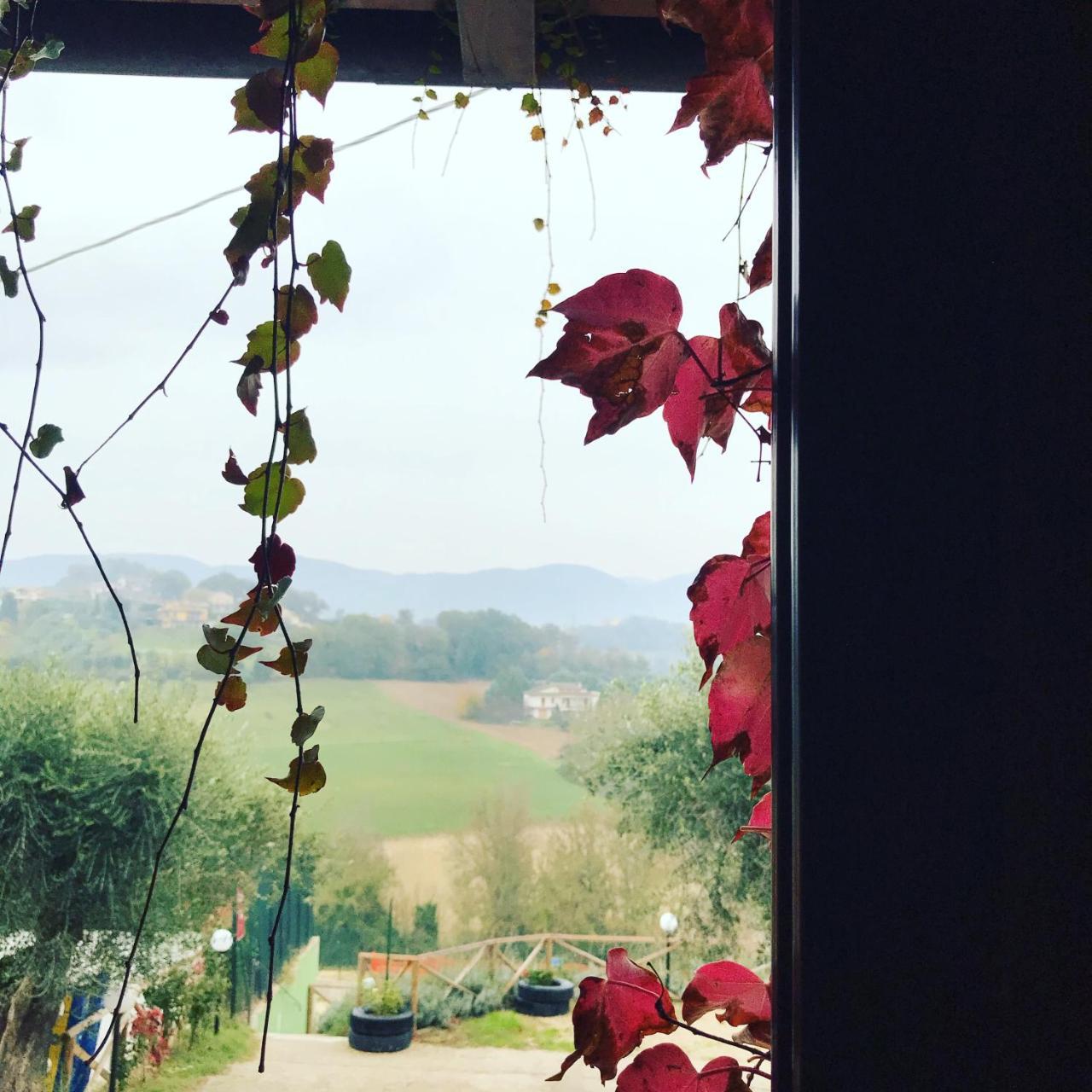 Il Pozzo Country House Collescipoli Luaran gambar