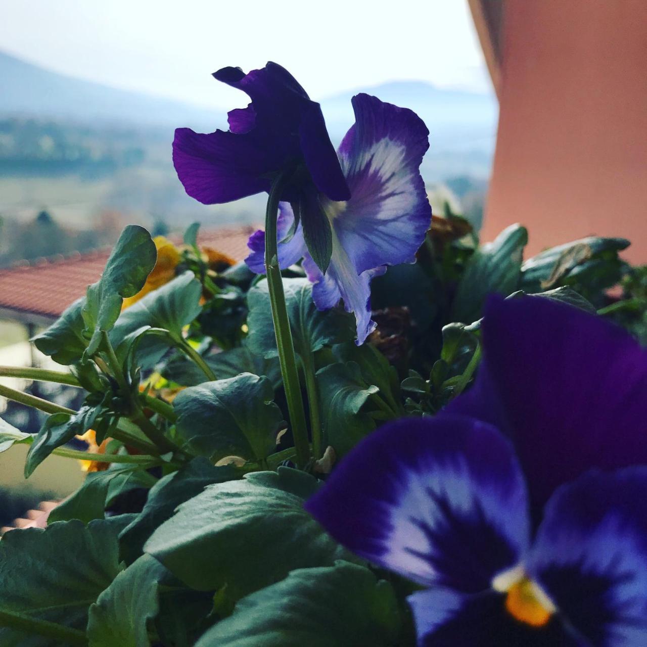 Il Pozzo Country House Collescipoli Luaran gambar